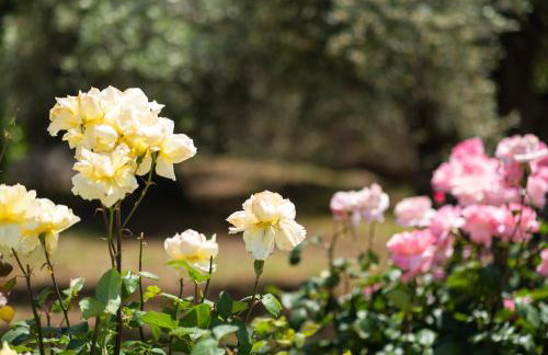 Garden House with Pool, 10min to center - Foto 27