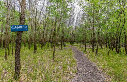 Cozy Cottage • 2 King Beds • Grove • Kayaks • Washer/Dryer - Foto 24