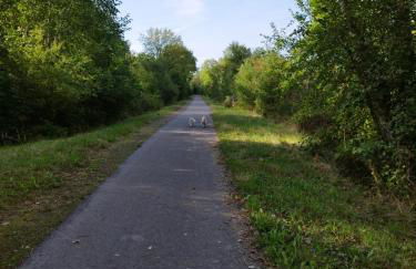 Jolie maison entière 2 chambres 1 jardin - Foto 9