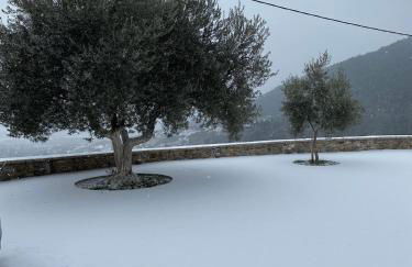 Αρχοντικό Γκιντώνη - Foto 33