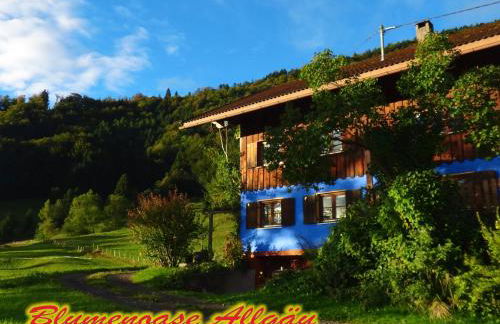 Blumenoase Allgäu - Foto 5