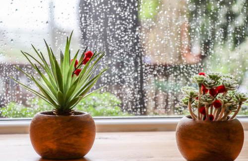 The Granary - Foto 18