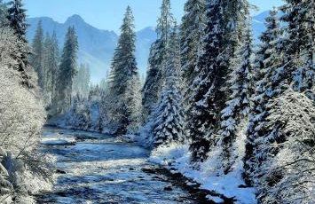 Domek Kojsówka - Foto 17