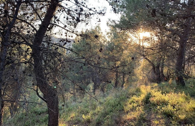 Florenc's Apartment - Foto 45