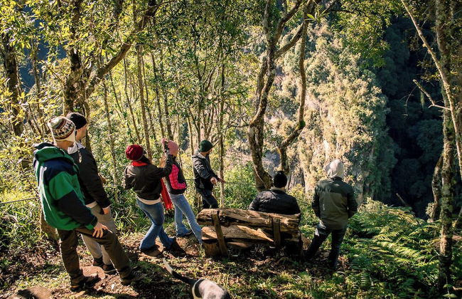 Sítio Mar de Nuvens Chalés de Luxo - Photo 71