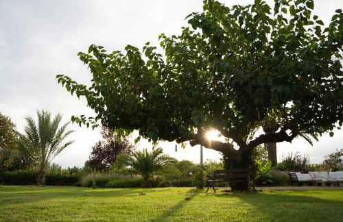 Mas Montbrio Belvedere - Foto 58