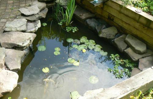 Where Memories Are Made - Foto 9