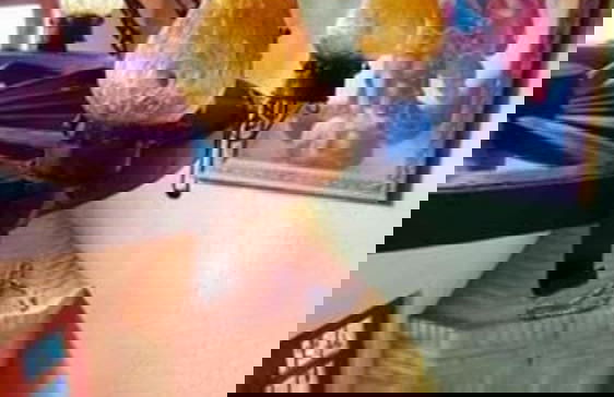 Cabañas Sierra del Tecuan - Foto 8