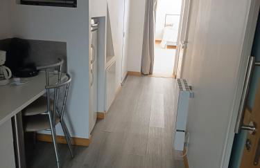 Les hortensias - Photo 7