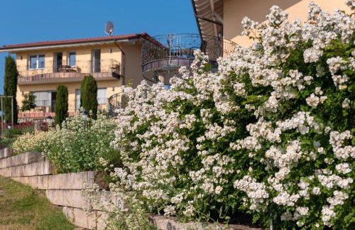 Ferienwohnungen Klettgaublick - Foto 4