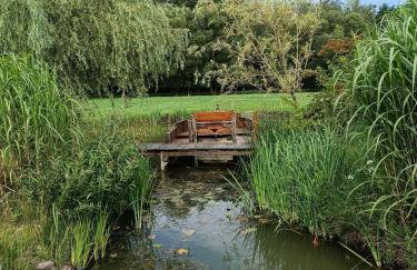 Agroturystyka Sosnowy Gaik - Foto 30