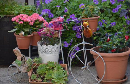 Apartment Lorna & Igor Zuvic - Foto 13