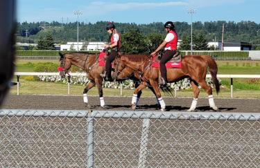 Cosy Retreat at Auburn near Muckleshoot - Foto 40