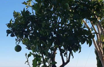 Villa Tango - Foto 33