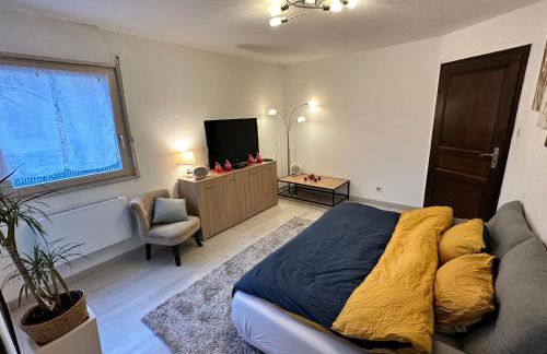 F2 Florival 45m2, avec terrasse, route du vin et free parking - Foto 15