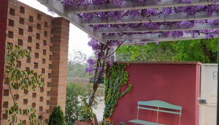 B&B Le Stagioni - Foto 4