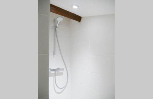 LE TROPICOCO - hyper centre d'Auray - - Foto 13