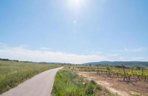 Holiday Home in Montbrun with Pool & Vineyards - Foto 40