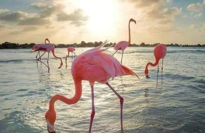 Apartamento Migos 350m from the sea, Playa del Acequión, - Foto 9