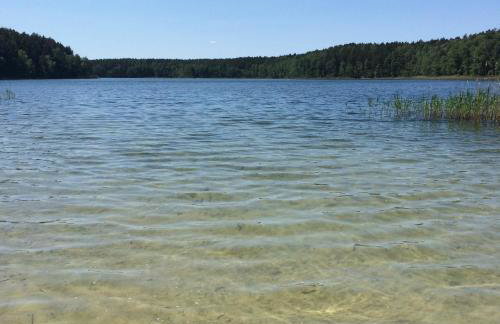 Dom Mossa - Photo 40