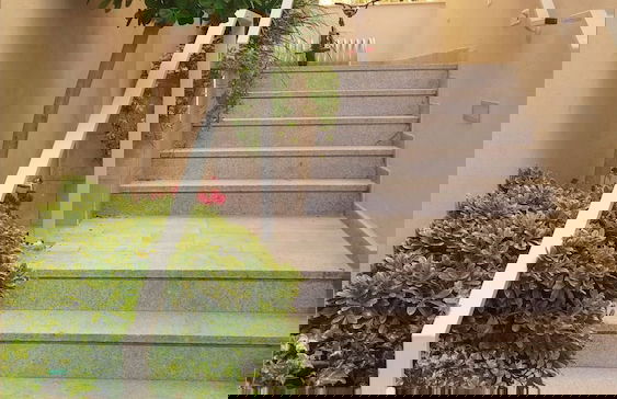 Apt Terrace & Garden - Bauhaus - Foto 23