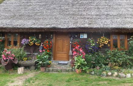 Chata pod strzechą -Bory Tucholskie - Foto 1