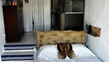 Casita in Jesùs - Photo 4