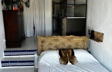 Casita in Jesùs - Photo 4