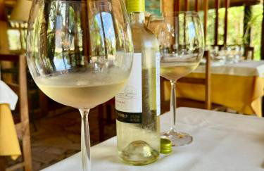 Rancho Vargem - Foto 36