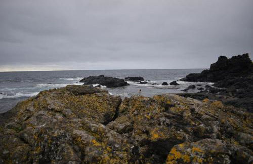 Casa Cruzeiro AL - by the sea OCEANTUR - Photo 26