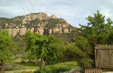 Casa Rural Santana - Foto 39