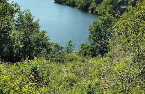 Gite de la foret - Foto 4