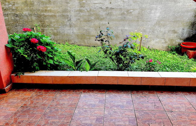 Apartments Lazarevic - Foto 12