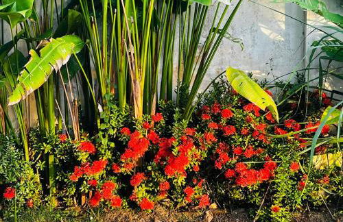 Vivenda São José - Oceanfront Paradise - Photo 38