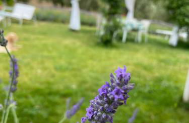 Tenuta Le Mandorlaie, Agriturismo in Scansano - Foto 19