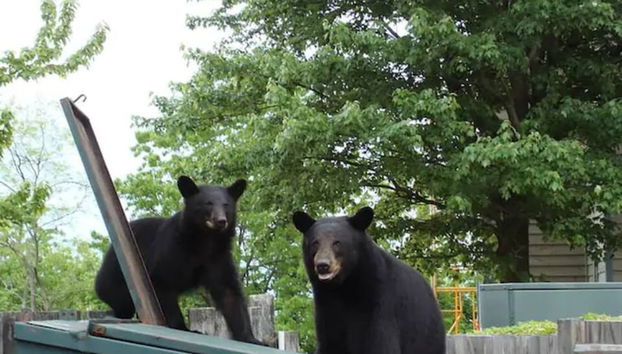 On Top Of The World-heavenly Views-sunsets-pool - Foto 5, Habitación