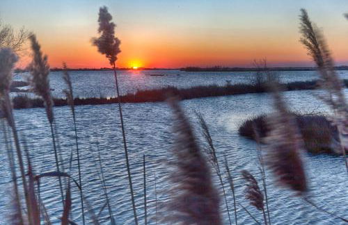 Ca' Viridi - Foto 37