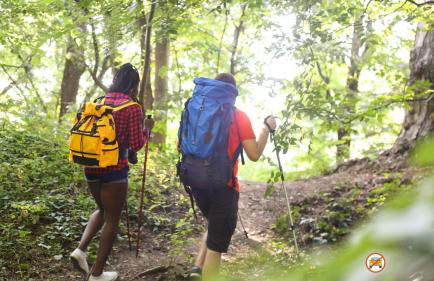 Ecobaita del Cacciatore - Foto 72