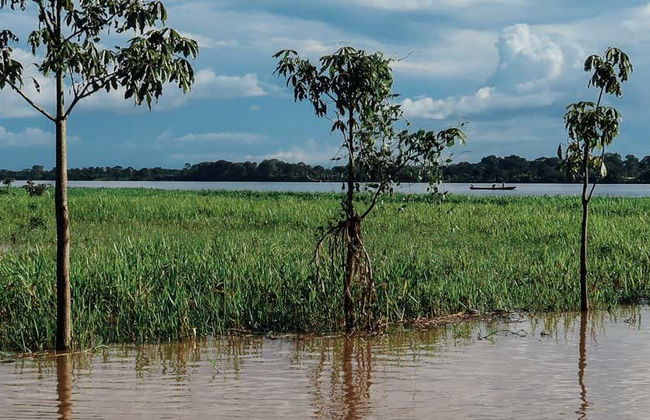 Tour privato di Leticia - Foto 7