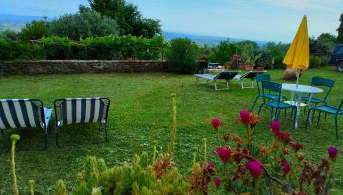 Poderino La Noce - Foto 5, Garden, Garden view