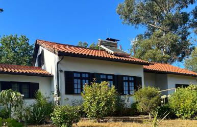 Quinta Do Pereiro - Foto 3