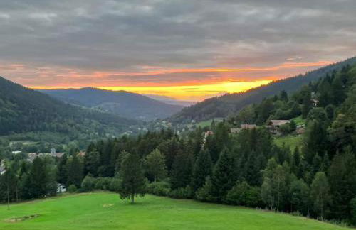 La Ferme du Panorama et Spa - Foto 3