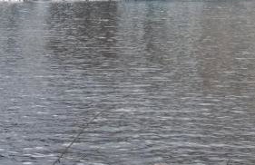 Apartment King - Foto 28