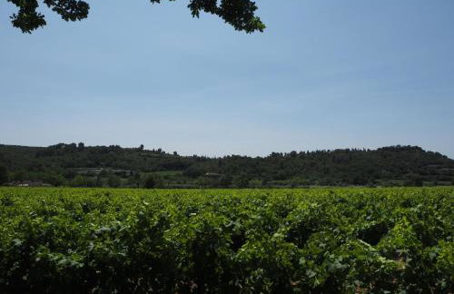 Holiday Home Near Pont du Gard & Vineyards - Foto 55