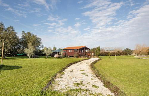 Casa da Lagoa Pateira - Foto 25