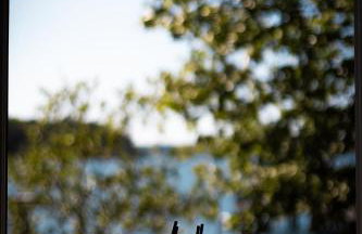 Light Blue - Foto 43
