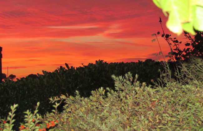 Owl Barn, Sisland - Spacious Apartment - Foto 19