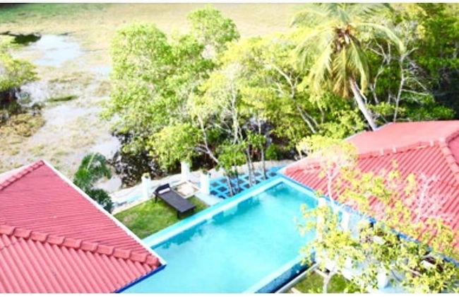 Charming Villa With Pool, Near Beach, Sri Lanka - Foto 14