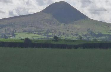 The Nest Carnlough - Foto 18