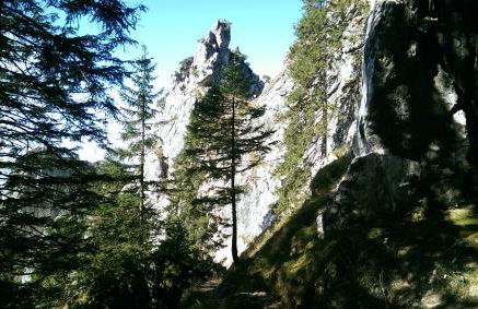 FW Weissensee 44 - Foto 58